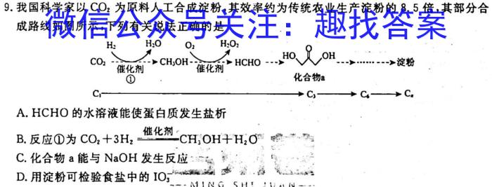 f陕西省2023-2024学年高三年级10月联考化学