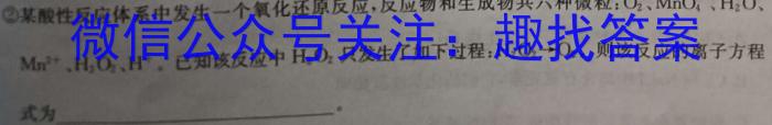 3［广东大联考］广东省2025届高二年级上学期11月联考化学