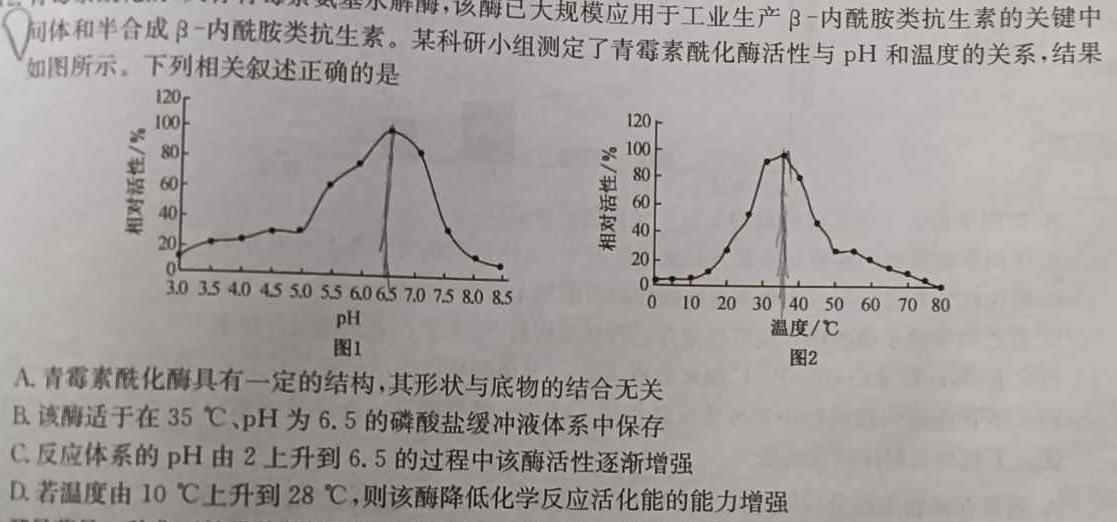 学科网 2024届高三10月大联考(新高考7省联考)(新教材)生物学试题答案