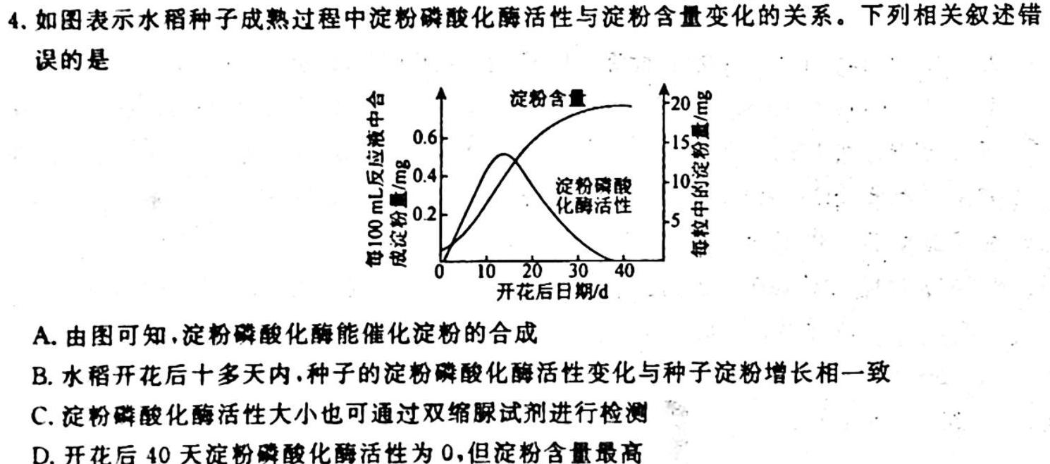 陕西省2023-2024学年度九年级第一学期期中学业水平测试生物学试题答案