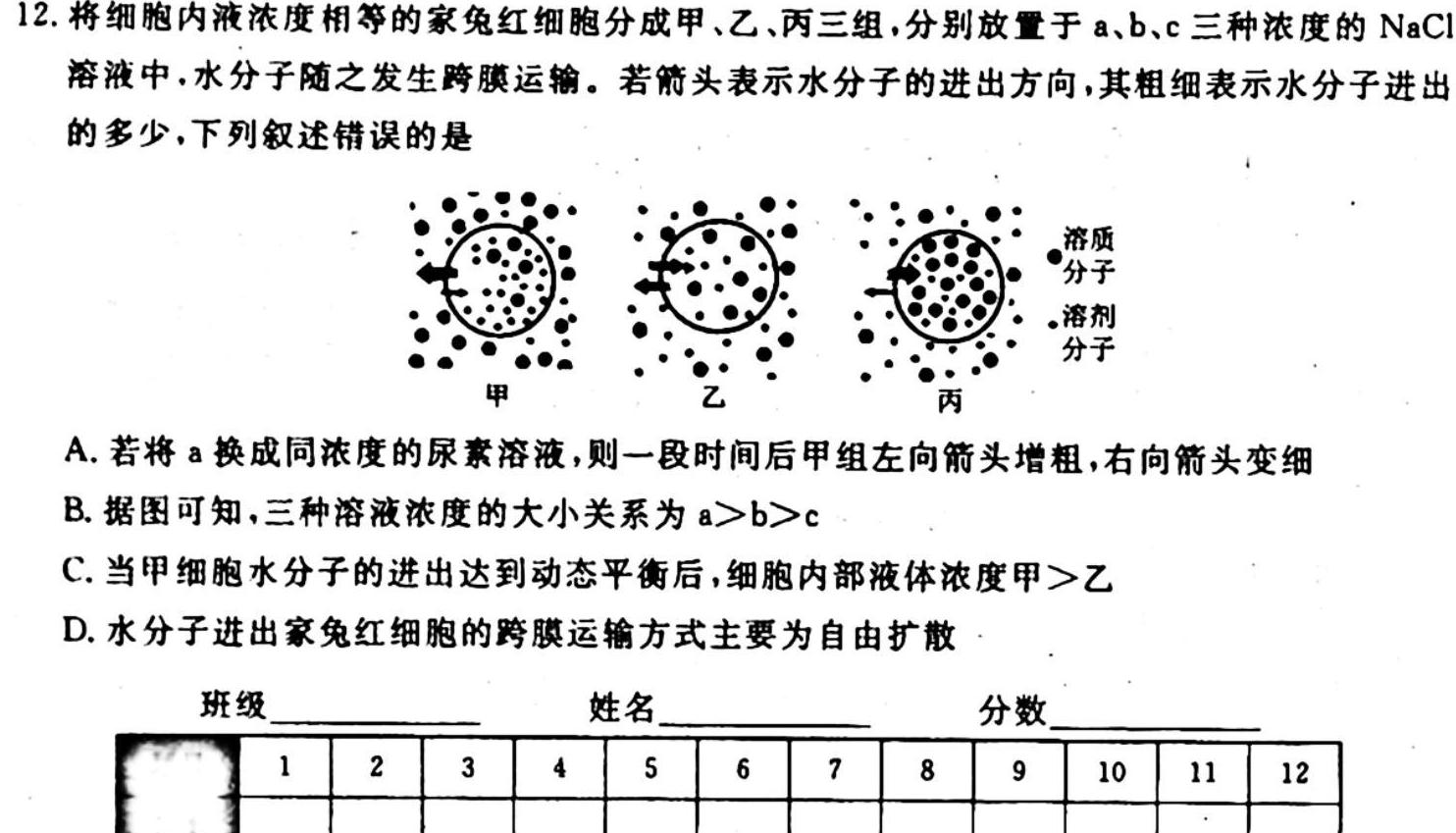 天一大联考 齐鲁名校联盟2023-2024高三第二次联考生物