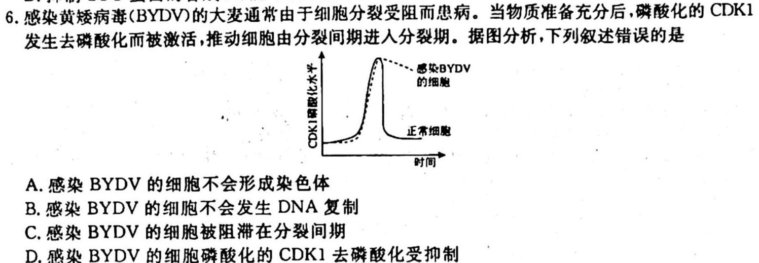 决胜新高考——2024届高三年级大联考(10月)生物试卷答案