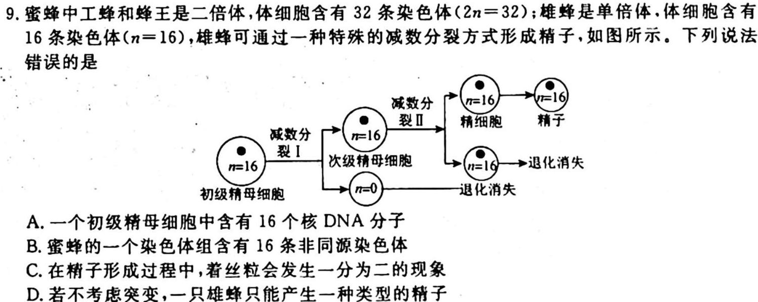 安徽省2024届九年级G5联动教研第一次阶段性调研生物学试题答案