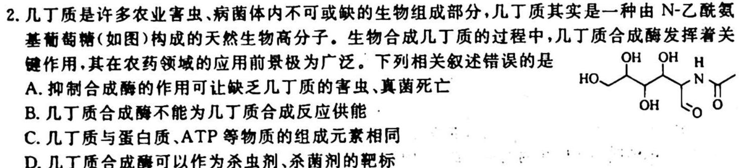 安徽省2023-2024学年耀正优+高二名校阶段检测联考(24004B)生物学试题答案