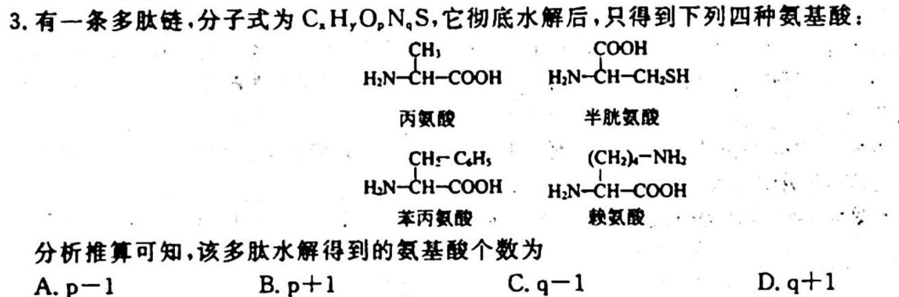 九师联盟2023~2024学年高三核心模拟卷(上)(六)生物学试题答案