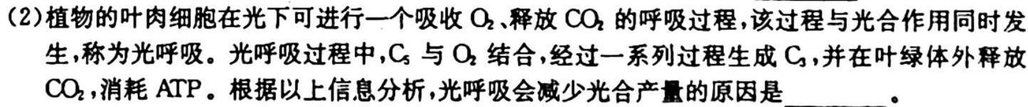 广西省2024届新高三年级摸底测试（10月）生物学试题答案