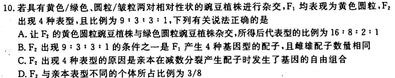 名校联考 2024届高三总复习月考卷(二)生物