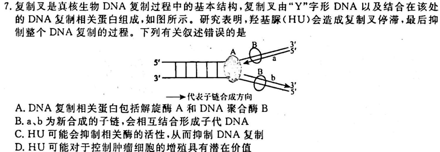 2023~2024学年核心突破XGK(三)生物学试题答案