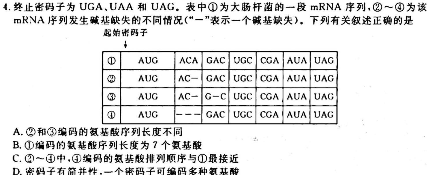 陕西省2023-2024学年度第一学期七年级课后综合作业（一）A生物学试题答案