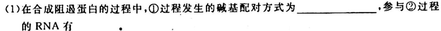 2023年秋季学期广西示范性高中高二期中联合调研测试生物学试题答案