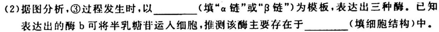 陕西省2023-2024学年高一年级上学期10月联考生物学试题答案