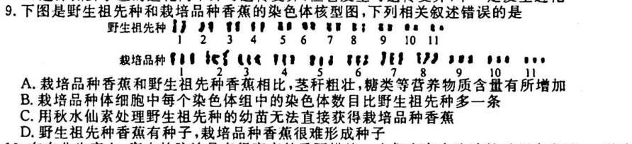 天一大联考 甘肃省2024届高三10月联考生物