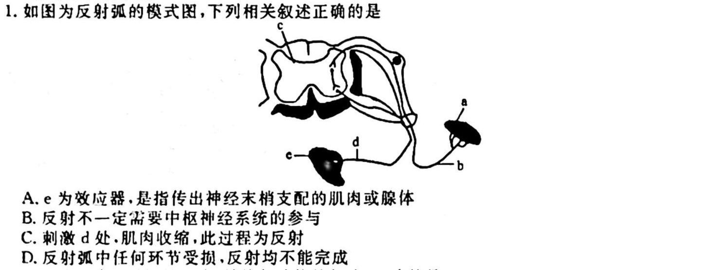 天一大联考2023-2024学年高二年级阶段性测试（一）生物