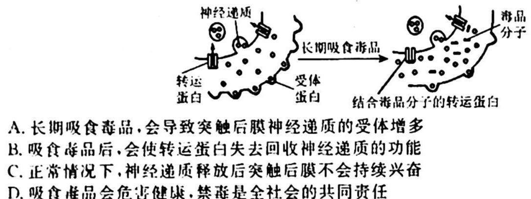 江西省南昌县2023-2024学年度第一学期七年级期中考试生物