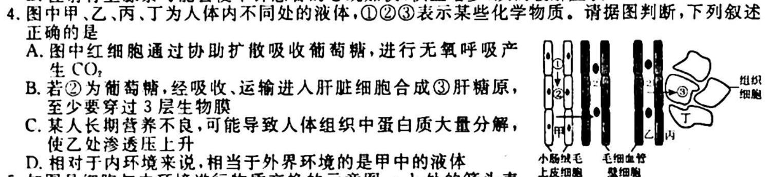 河北省高三年级2024届上学期质量检测二生物试卷答案