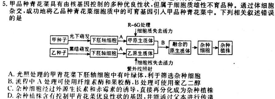 三湘名校教育联盟/湖湘名校教育联合体2024届高三10月大联考生物