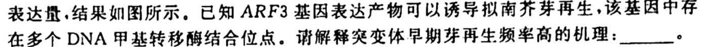 辽宁省重点高中沈阳市郊联体2023-2024学年高三上学期10月月考生物试卷答案