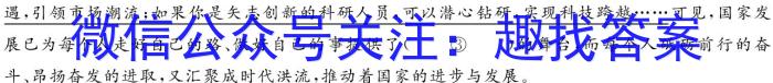 江西省2023-2024学年度九年级上学期期中综合评估【2LR】语文