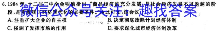 江西省2024届九年级训练（二）［10.28］历史试卷