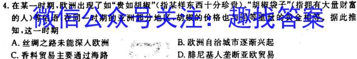 学科网2024届高三10月大联考考后强化卷(全国甲卷)历史试卷