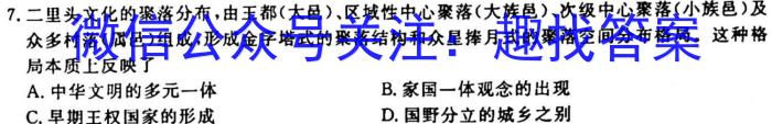 天一大联考 2023-2024学年高中毕业班阶段性测试(二)历史