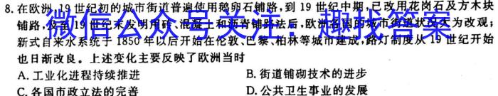 2024年衡水金卷先享题分科综合卷 新教材A(一)历史试卷