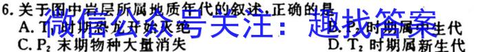 2024年河南省普通高中招生考试考场热身卷（一）地理试卷答案