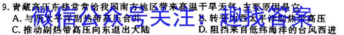 2023˾һ11.