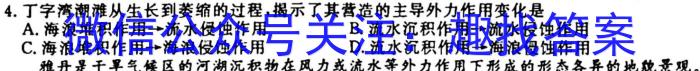 ʡˮ2024꼶ڶԼ(24-265C).