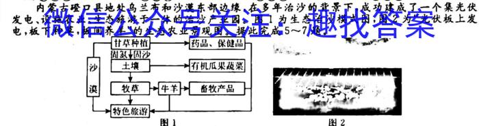 百师联盟 2024届高二下学期阶段测试卷(二)2地理试卷答案