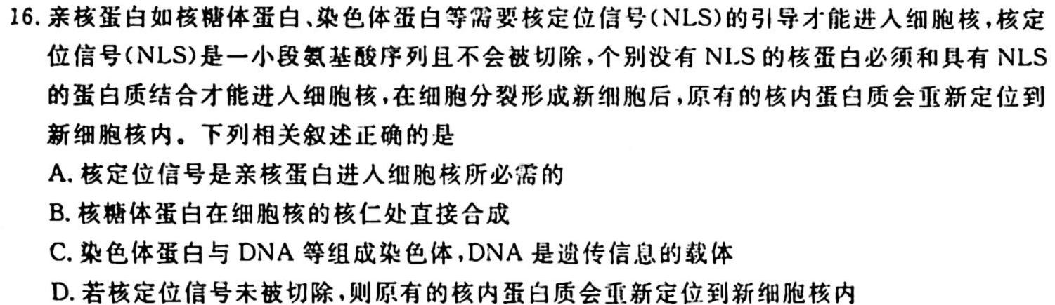 福州市八县（市）协作校2023-2024学年高三上学期期中联考（11月）生物学试题答案