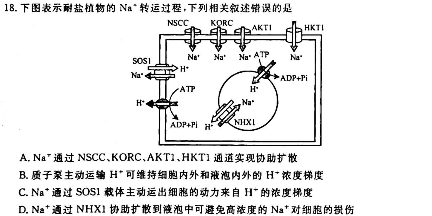 山东省烟台市2023-2024学年度第一学期高三期中学业水平诊断生物学试题答案