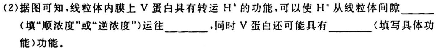 四川省2023-2024学年度高一年级11月期中考试生物学试题答案