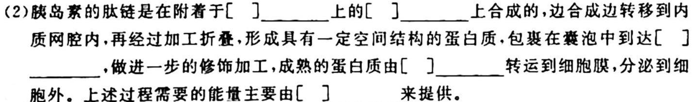 2024届普通高等学校招生统一考试青桐鸣高三11月大联考生物学试题答案