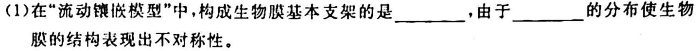 名校大联考2024届·普通高中名校联考信息卷(月考二)生物学试题答案