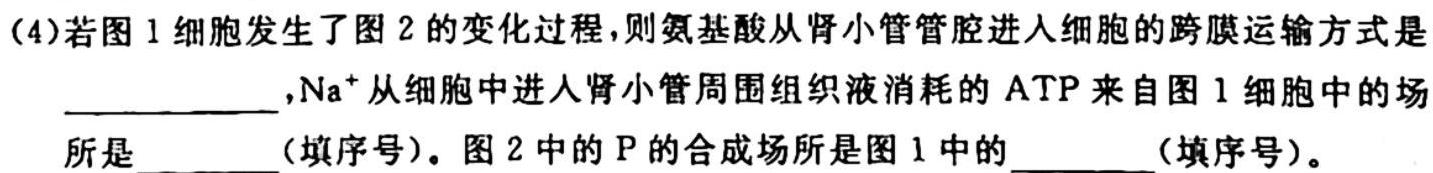 贵州省纳雍县2023-2024学年度九年级第一学期期中考试生物