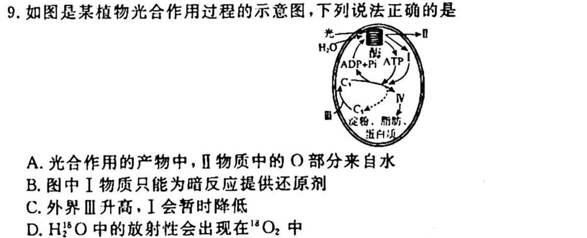 安徽省十联考 合肥一中2024届高三第一次教学质量检测(243060D)生物学试题答案