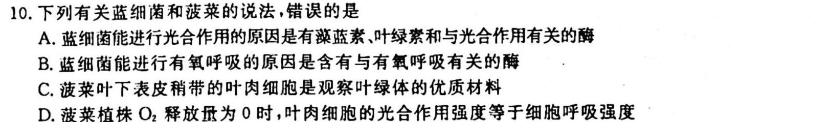 2024届四川省高三10月联考(⇨⇦)生物试卷答案