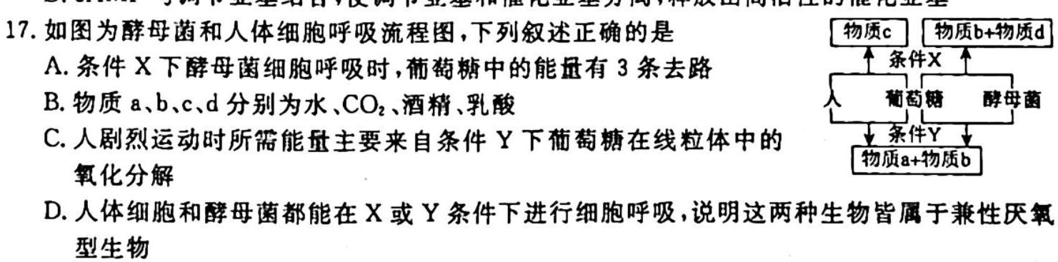 安徽省2023-2024学年度第一学期九年级作业辅导练习(一)1生物