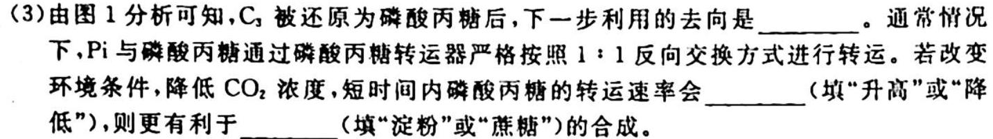 青桐鸣 河南省2024届普通高等学校招生全国统一考试 青桐鸣高三联考(10月)生物