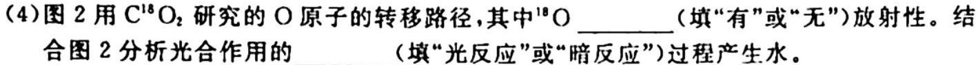 江西省南昌县2023-2024学年度第一学期七年级期中考试生物