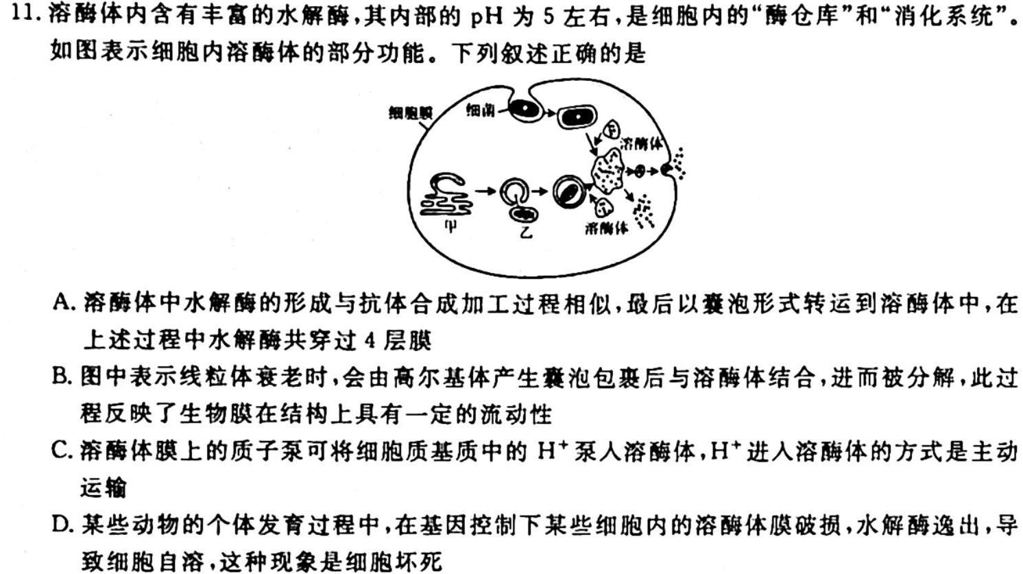 河北省沧州市2023-2024学年九年级第一学期教学质量检测二（10.10）生物试卷答案