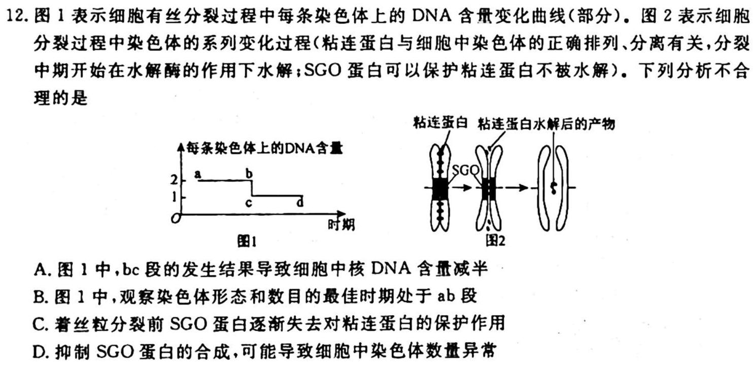 安徽省淮南市凤台县2023-2024第一学期七年级第一次学情检测生物