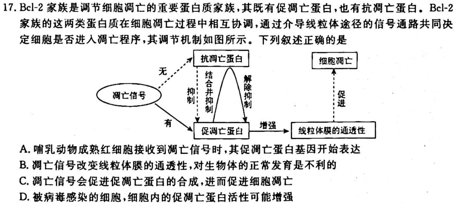 NT教育·2023-2024学年第一学期10月高三阶段测试卷（全国卷）生物学试题答案