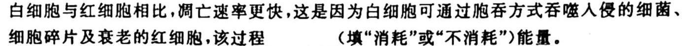 天一大联考顶尖联盟2023-2024学年高三秋季期中检测生物