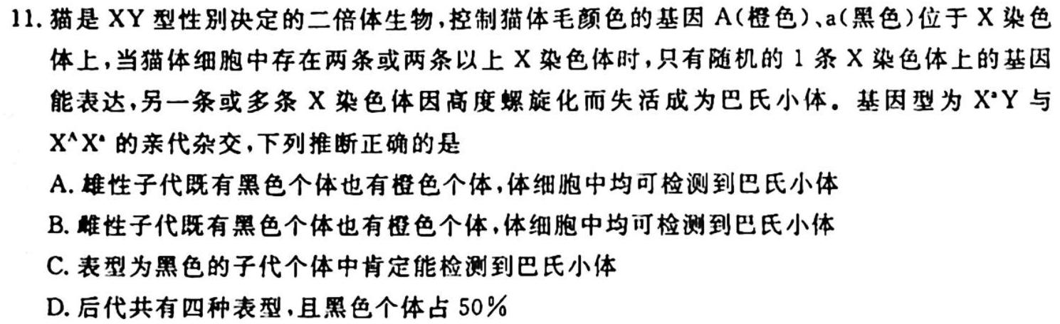 陕西省2025届高二第一学期月考(24120B)生物学试题答案