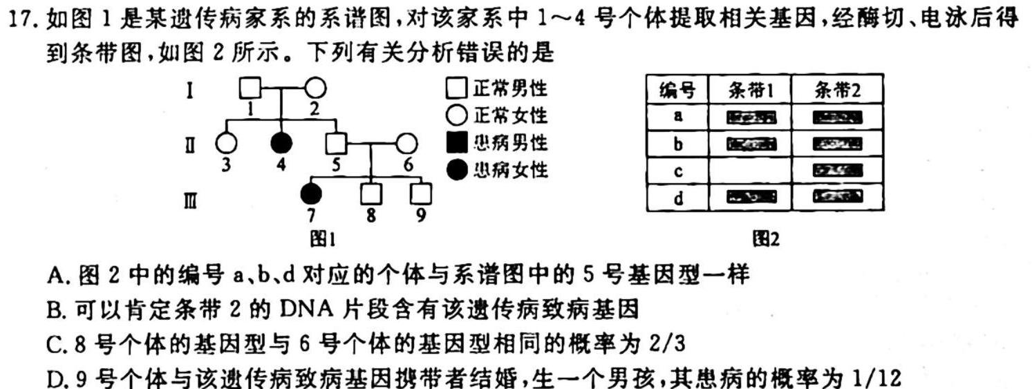 陕西省2023~2024学年度高一期中考试质量监测(24-128A)生物学试题答案