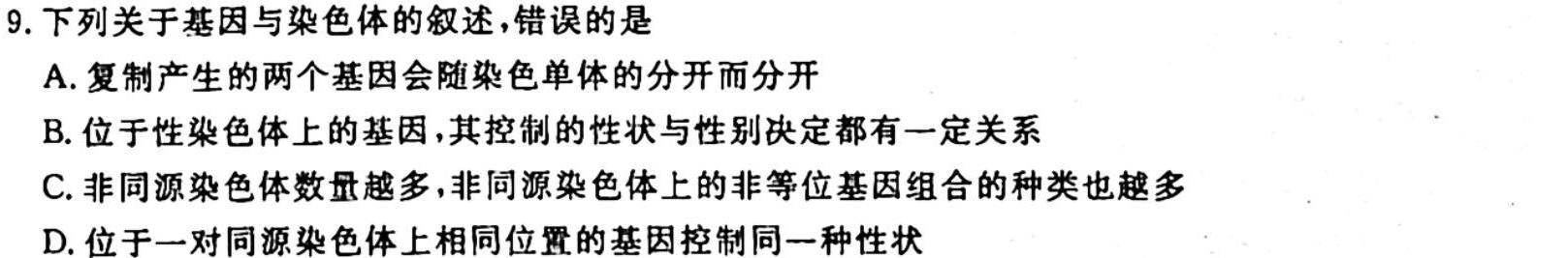 2024年普通高等学校统一模拟招生考试新未来10月联考（高三）生物