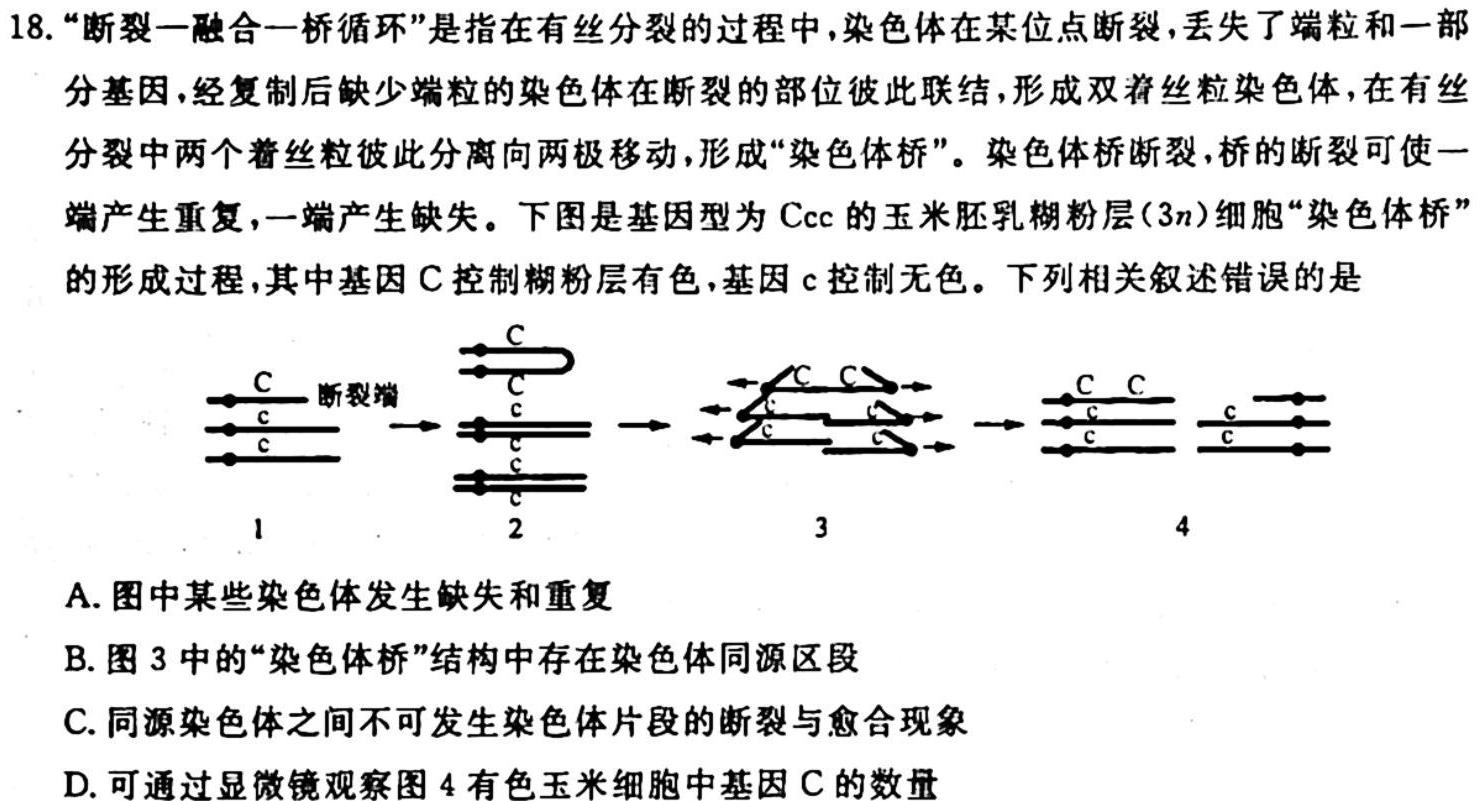 江西省2024届九年级初中目标考点测评（十）生物学试题答案