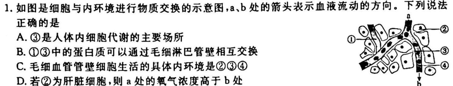 智慧上进·2024届高三总复习双向达标月考调研卷（五）生物学试题答案